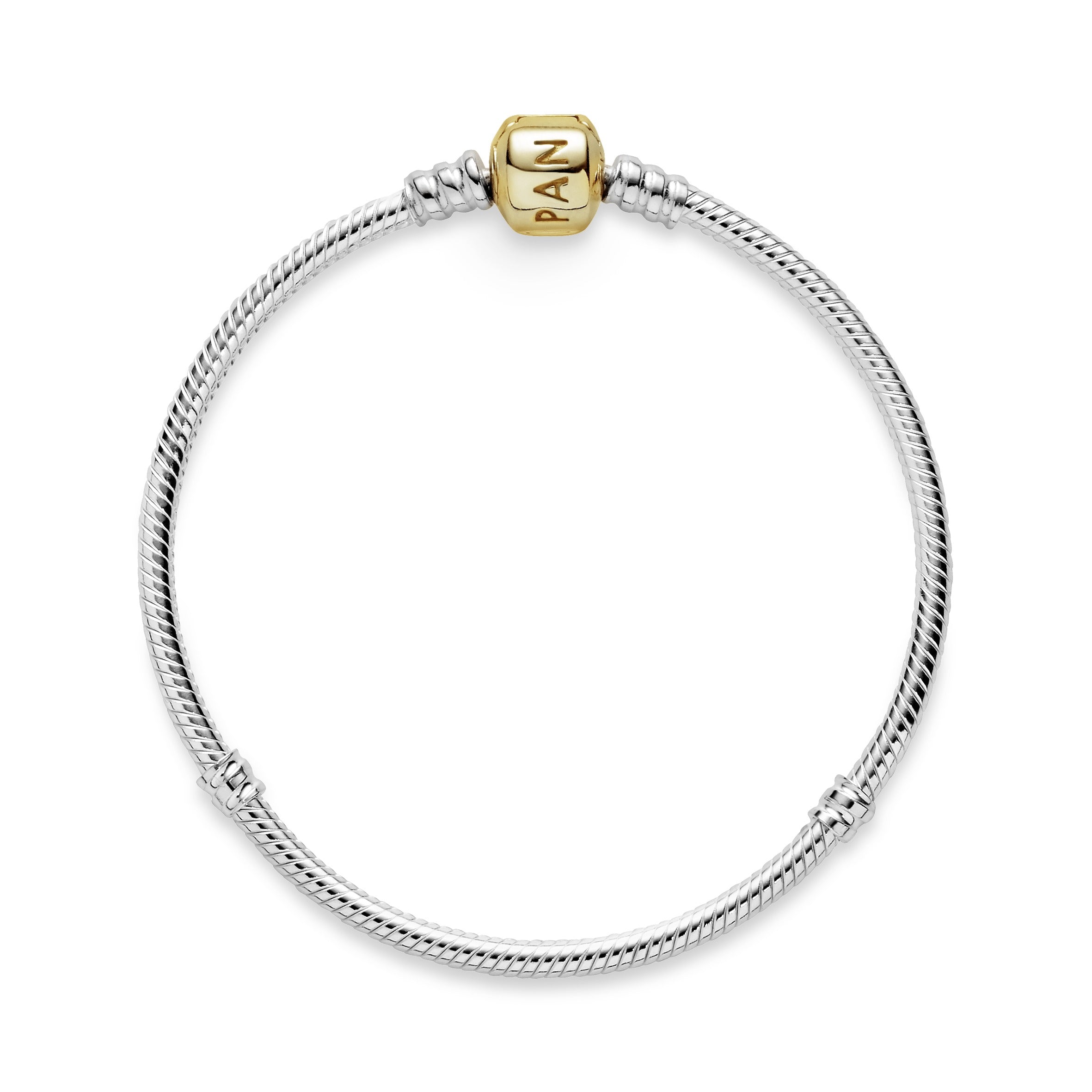 Pandora Charm Bracelet