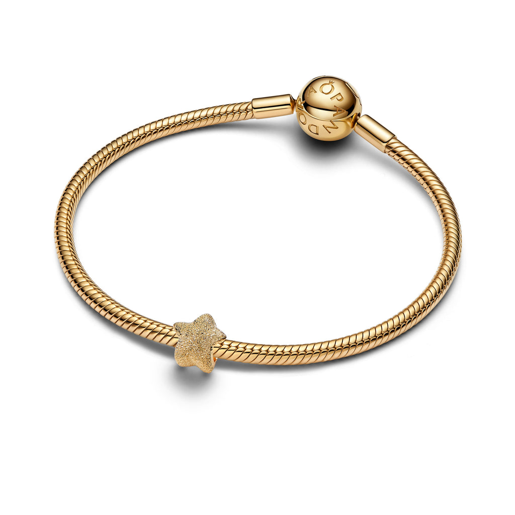 Pandora Textured Star Mini Charm